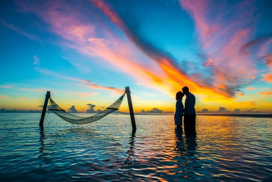 The Bigger Picture (Image Credits: Pexels)