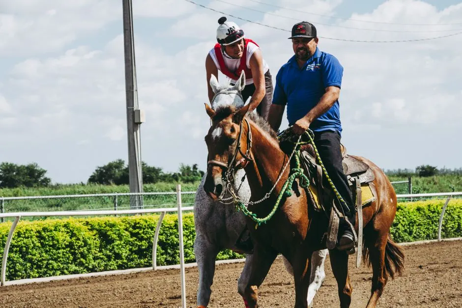 How Wranglers Handle Nervous Riders from the Start (Image Credits: Pexels)