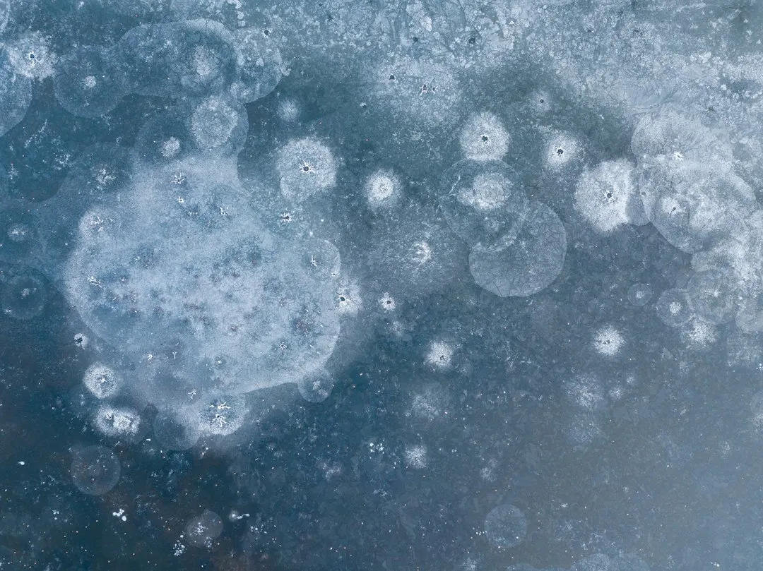 A Global Phenomenon, Uniquely Visible Here (Image Credits: Unsplash)