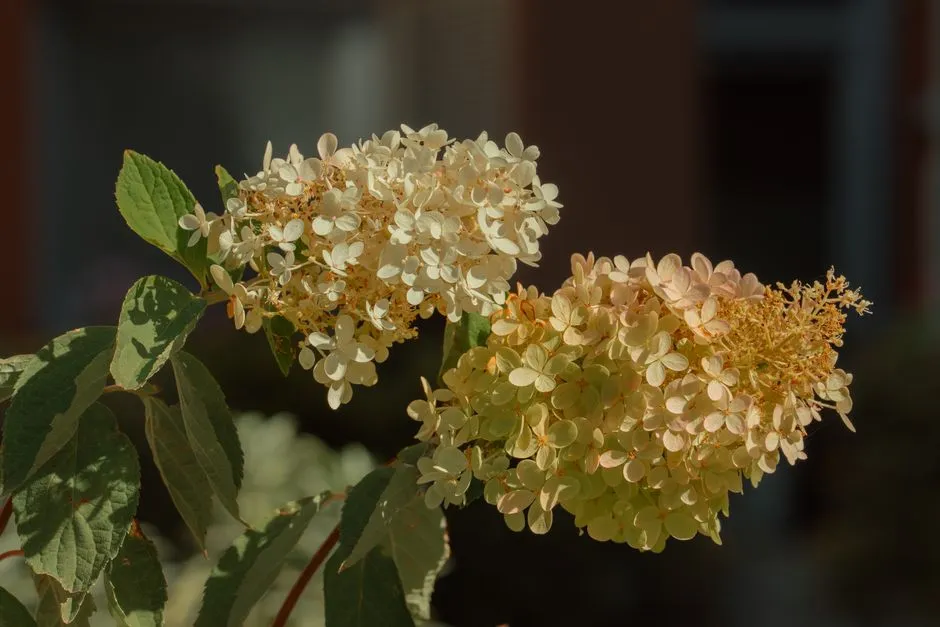 Fall Bloom Collections That Reward the Patient Visitor (Image Credits: Pexels)