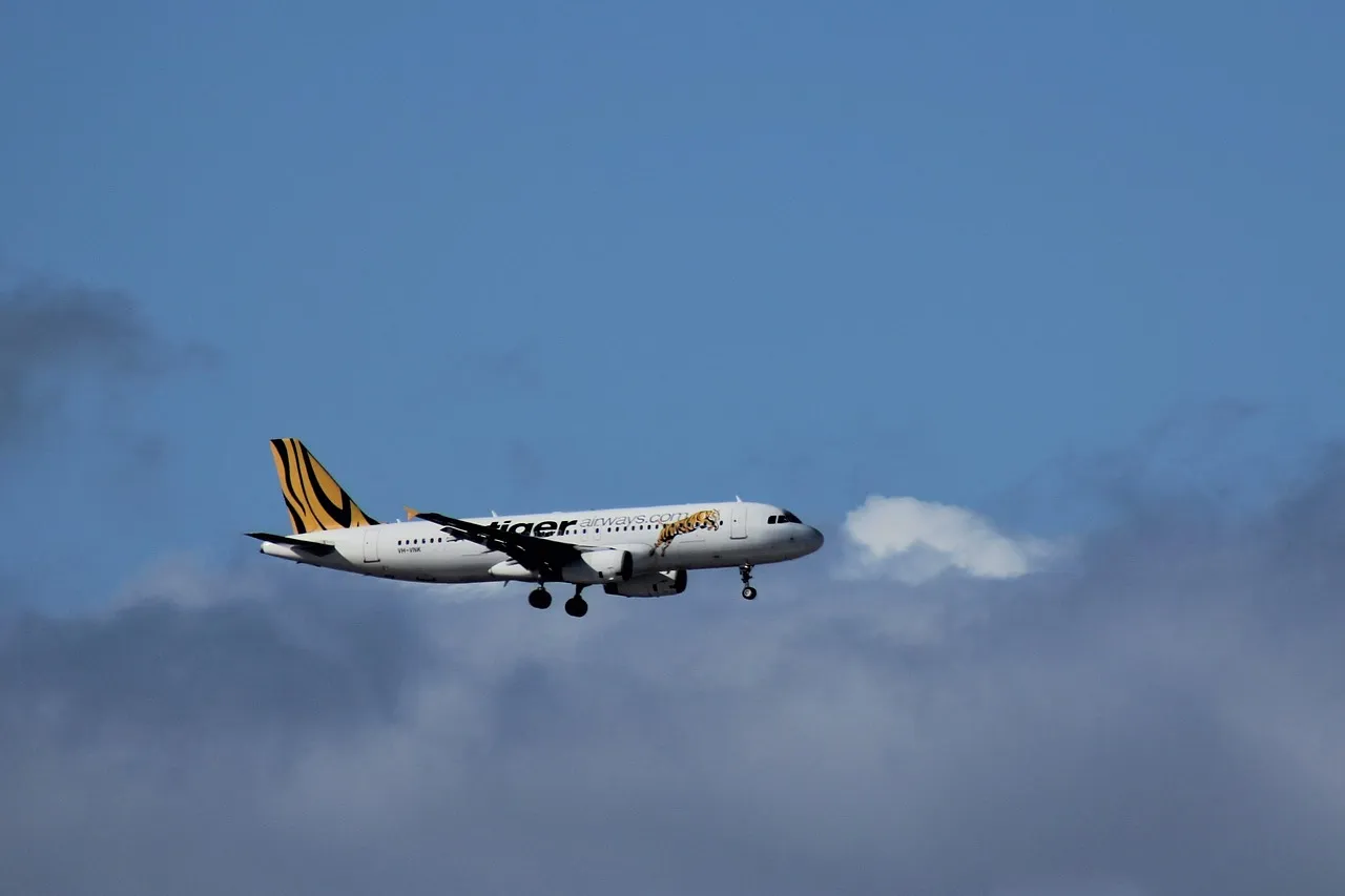 Where the Gap Shrinks: Budget Carriers Change the Math (Image Credits: Pixabay)