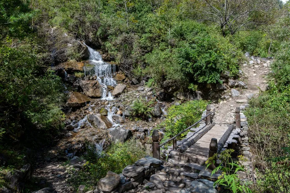The Trail In: What To Expect (Image Credits: Pexels)