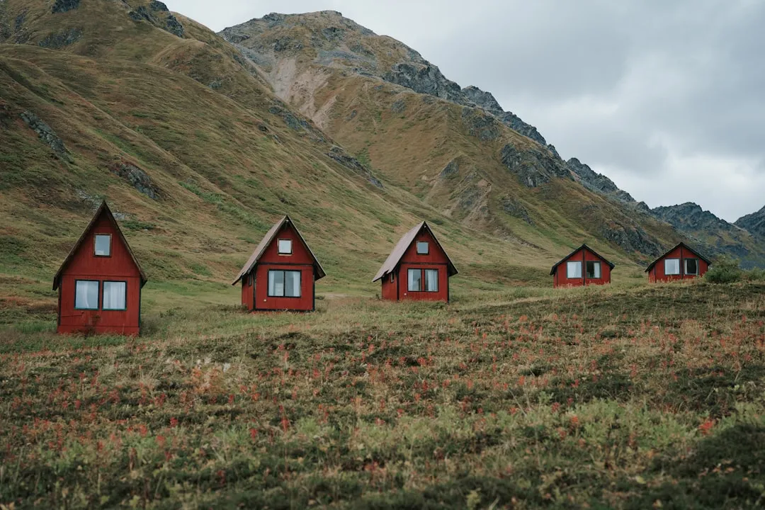 Accessibility Is Widening the Appeal (Image Credits: Unsplash)