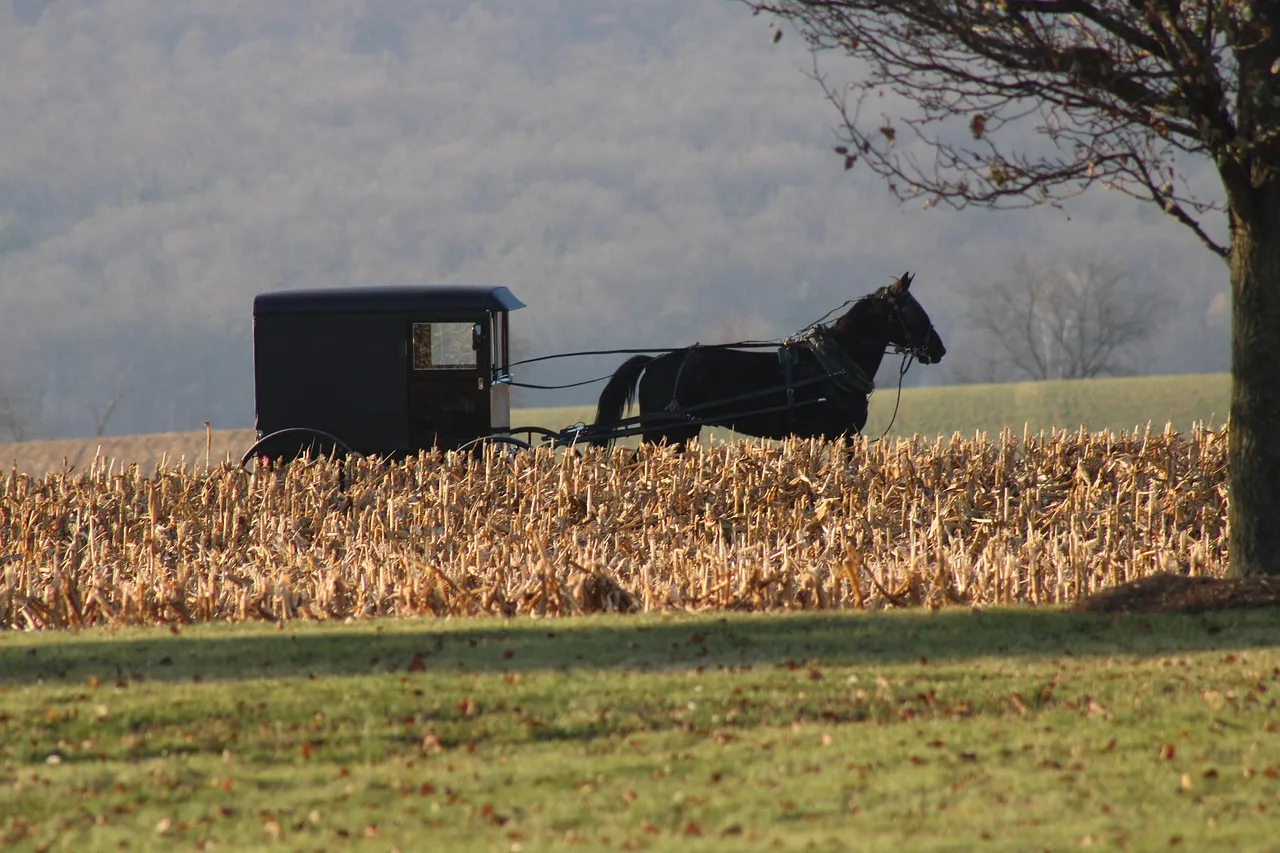Bird-in-Hand, Pennsylvania: Amish Country and a Case Stacked with Tradition (Image Credits: Pixabay)