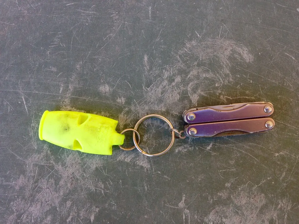 The Whistle Signal: Low-Tech and Universally Understood (Judith E. Bell, Flickr, CC BY-SA 2.0)