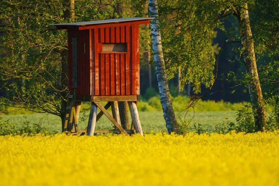 The Scavenger Hunt and Play Elements Families Talk About (Image Credits: Pexels)