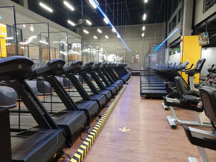 Time Limits on Cardio Equipment Are Real Policies (Image Credits: Pexels)