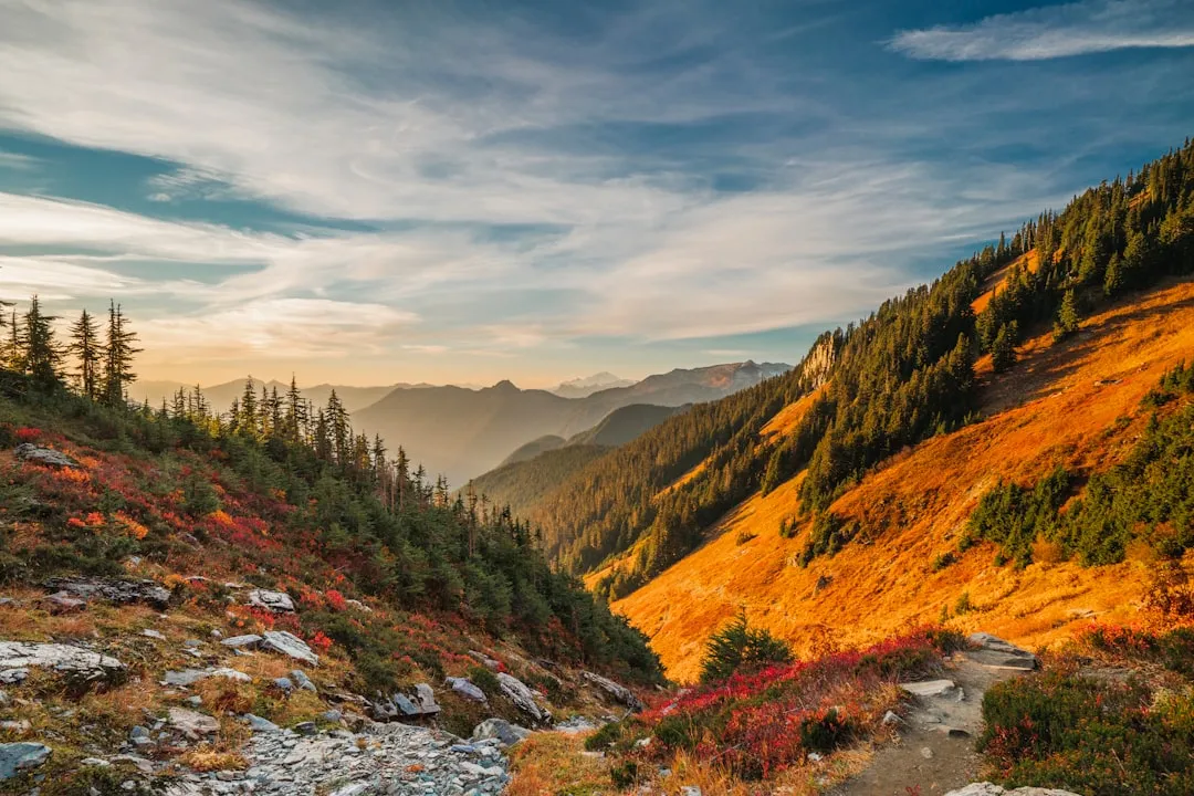 Overcrowding Has Changed Everything at Popular Trailheads (Image Credits: Unsplash)