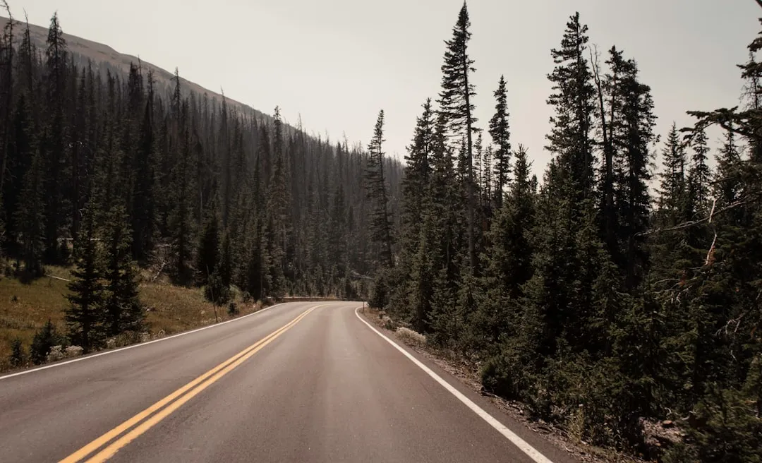 The Nostalgia Is Real and the Numbers Prove It (Image Credits: Unsplash)