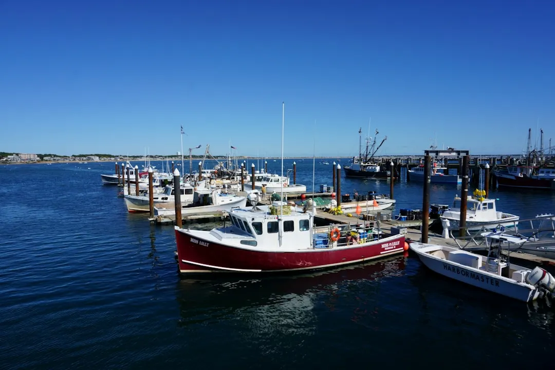 The Cape Cod Problem Nobody Wants to Talk About (Image Credits: Unsplash)
