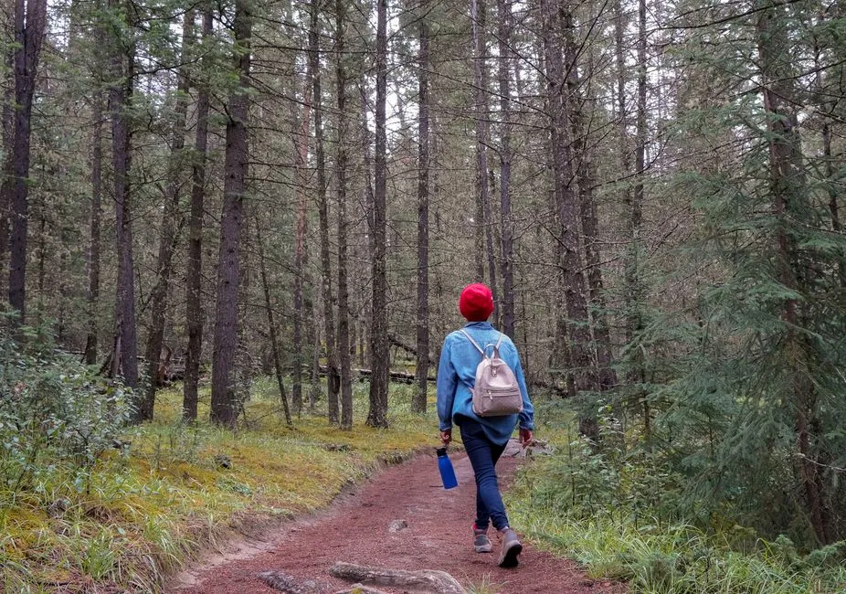 A Note on Solo Hiking Safety (Image Credits: Pexels)