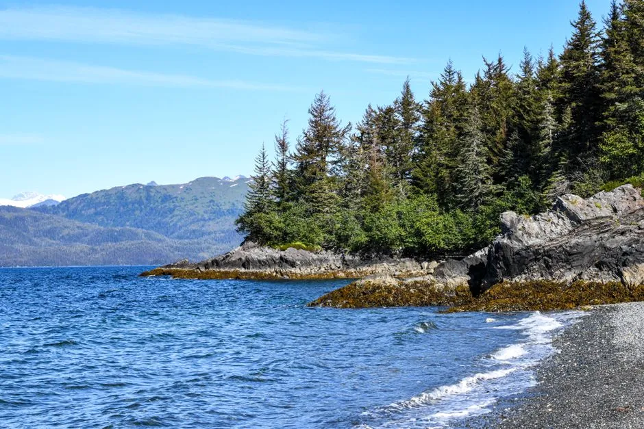 Why Alaska's Shore Is So Extraordinarily Long (Image Credits: Pexels)