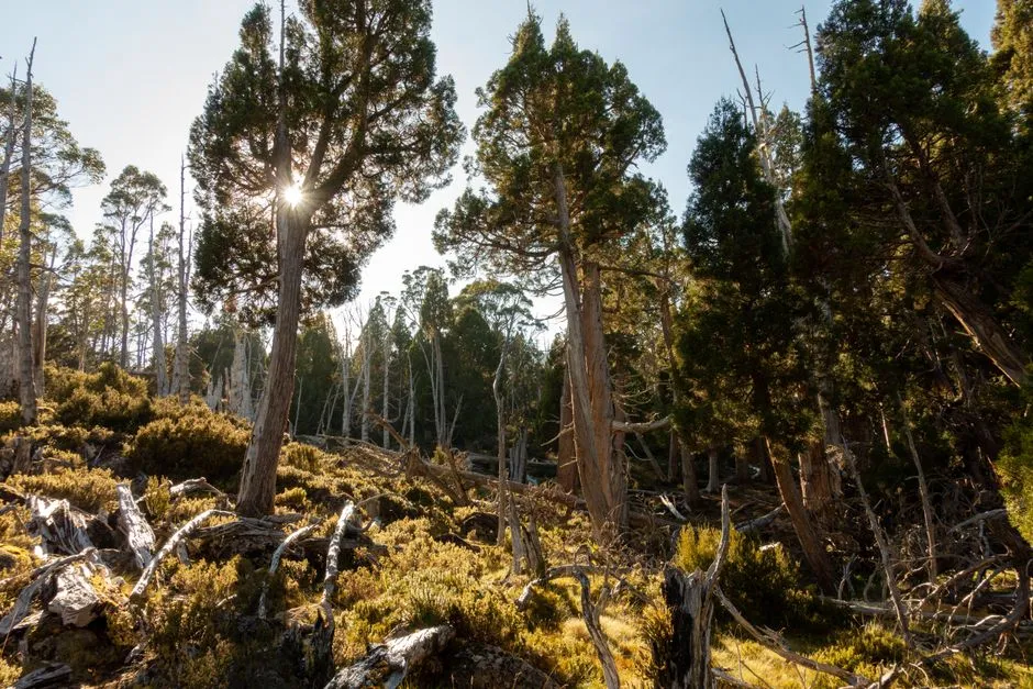 The Geology: Rocks That Predate Almost Everything (Image Credits: Pexels)