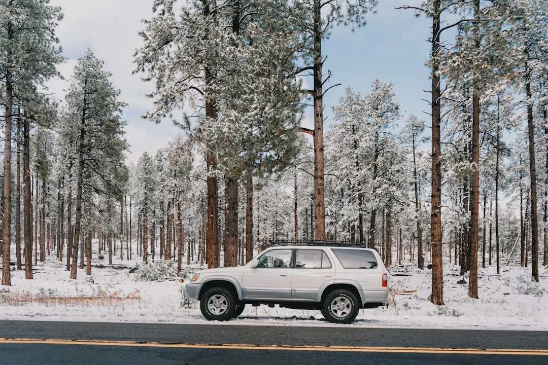 6. Flagstaff, Arizona - Desert Meets Alpine Snow (Image Credits: Unsplash)
