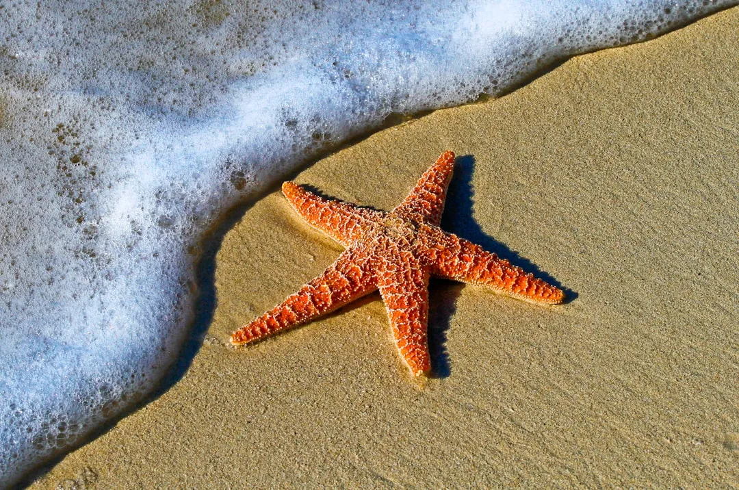 What the Science Tells Us About the Cause of the Wasting Disease (Image Credits: Unsplash)