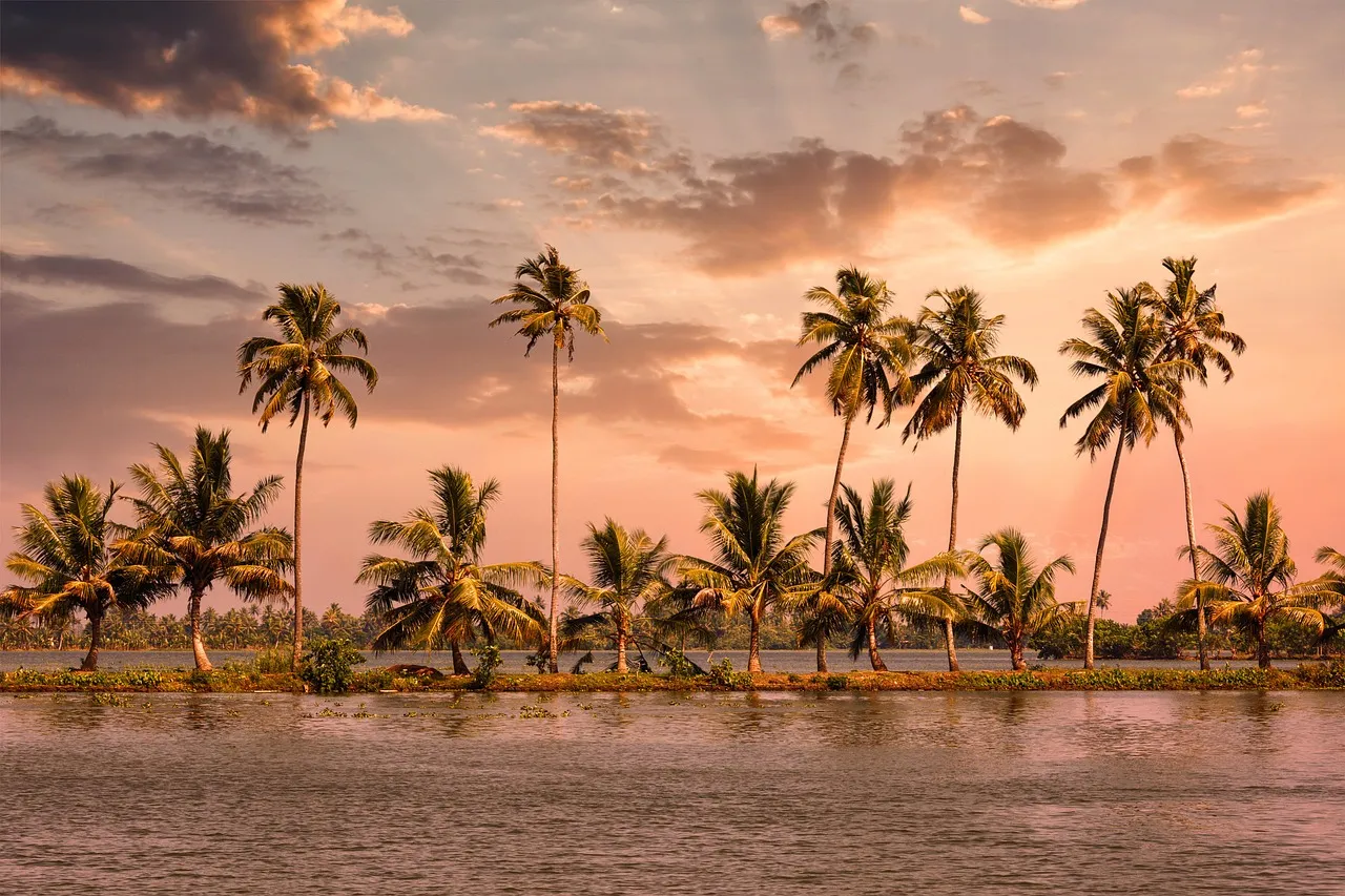 Alappuzha and Kumarakom: The Beating Heart of Backwater Tourism (Image Credits: Pixabay)