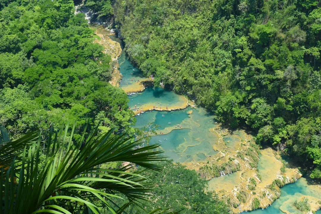 Semuc Champey: Nature's Most Underrated Masterpiece (Image Credits: Unsplash)