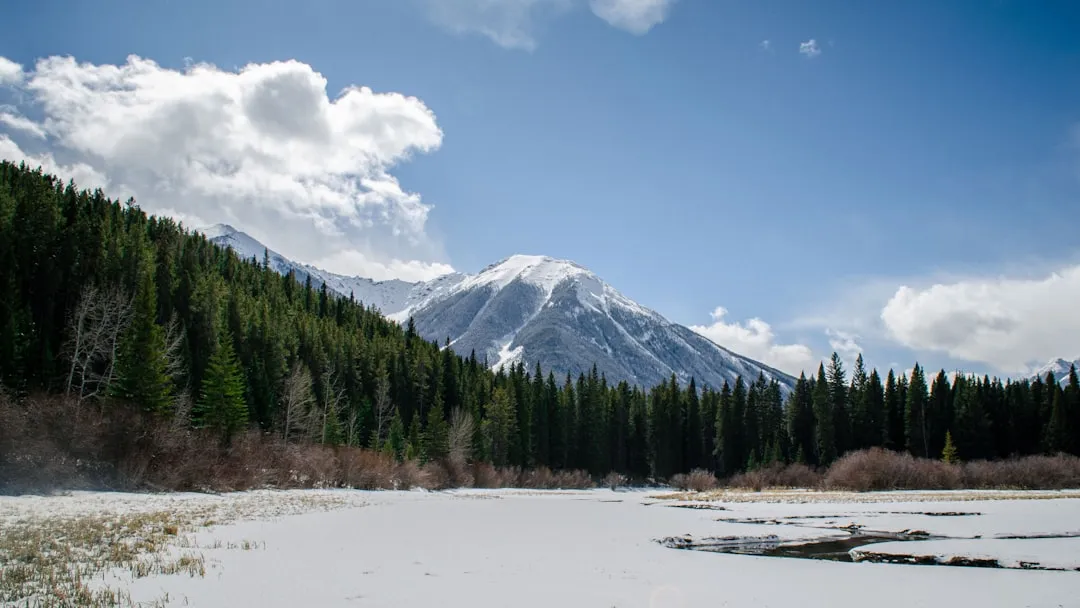 The Nature Pilgrim: Seeking Scale and Silence (Image Credits: Unsplash)