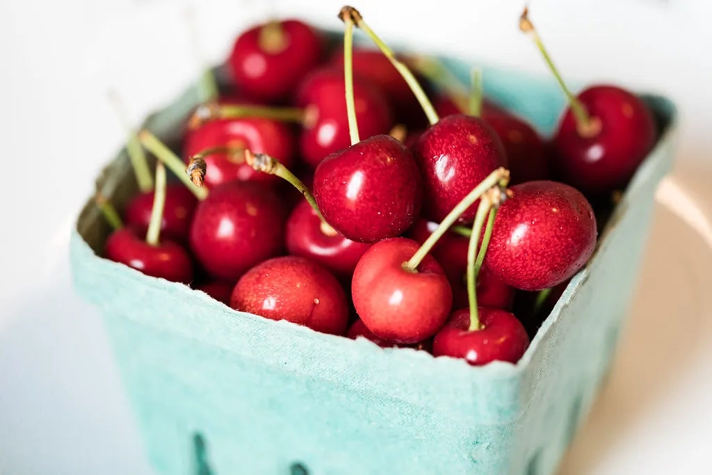 The Cherry Capital's Bay Country (spurekar, Flickr, CC BY 2.0)