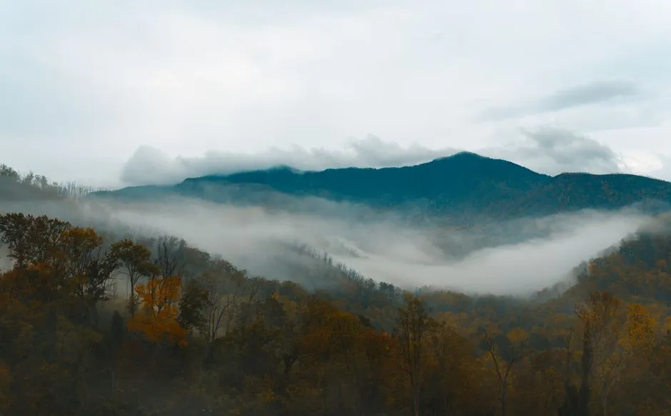 Taurus (April 20 – May 20): Great Smoky Mountains National Park, Tennessee and North Carolina (Image Credits: Pexels)