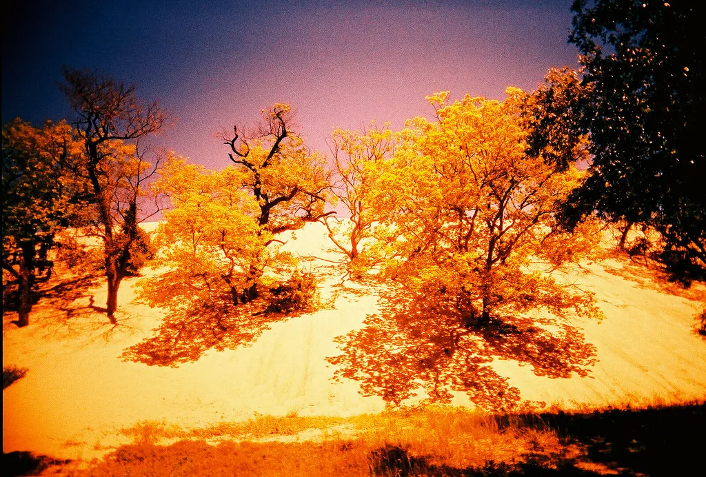 What the Dunes Offers That Can't Be Packaged (kevin dooley, Flickr, CC BY 2.0)