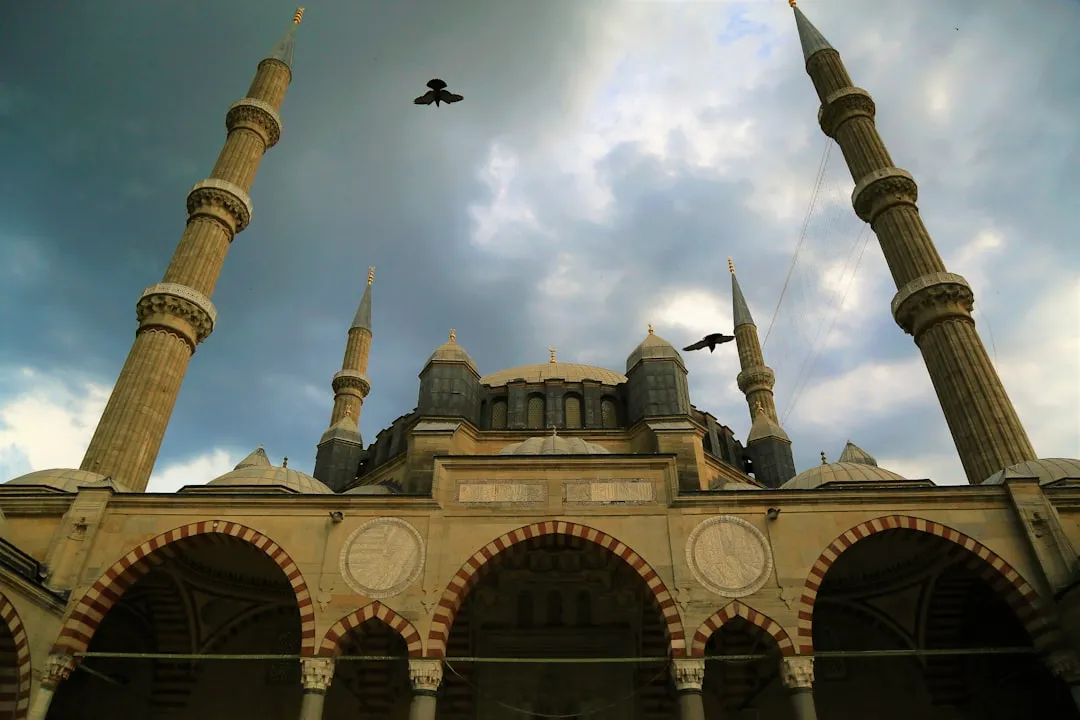 The Genius of Mimar Sinan (Image Credits: Unsplash)