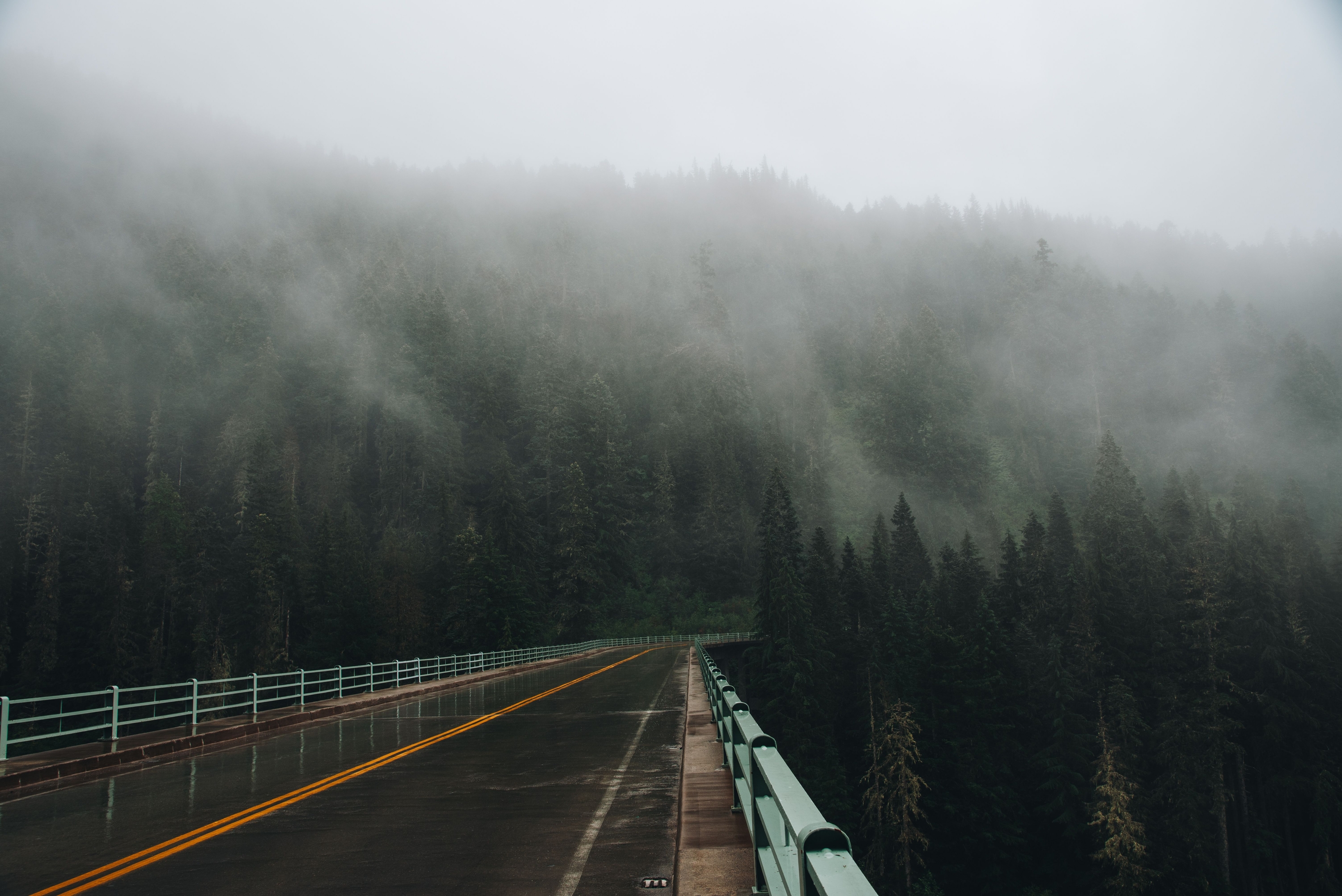 The Hidden Off-Grid Cabin Sites in the Pacific Northwest Most Travelers Don't Know Exist