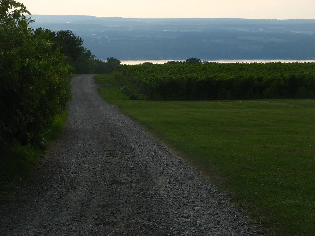 The Largest Wine Trail in New York State (eoringel, Flickr, CC BY 2.0)