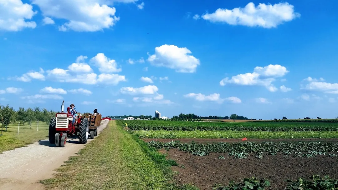 The Role of Educational Agritourism (Image Credits: Unsplash)