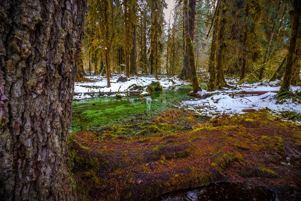 The One Square Inch of Silence: A Landmark Worth Knowing (Krystal.Hamlin, Flickr, CC BY 2.0)