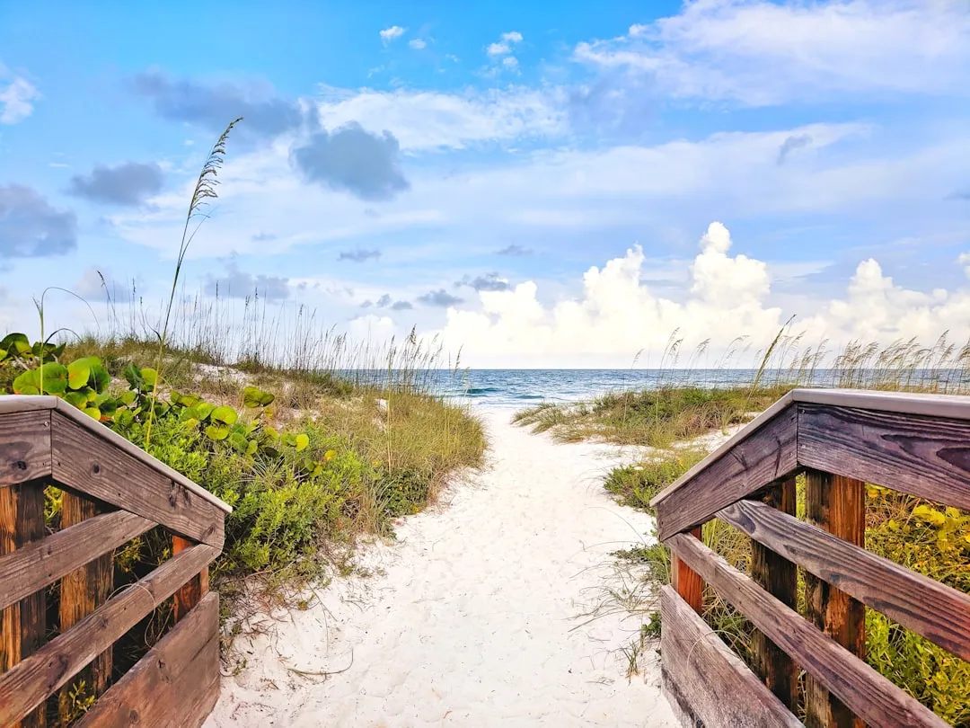 The Warm Weather Effect: Florida and Arizona Lead the Surge (Image Credits: Unsplash)