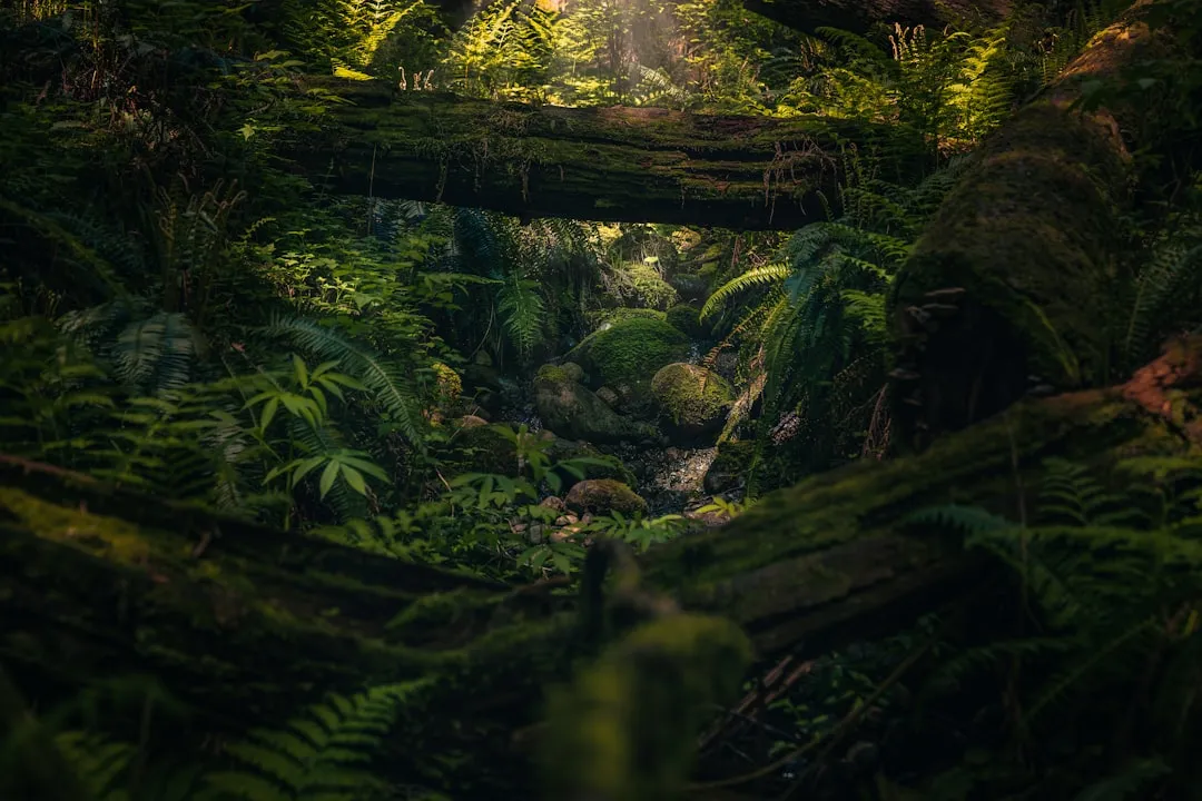 The Takeaway (Image Credits: Unsplash)