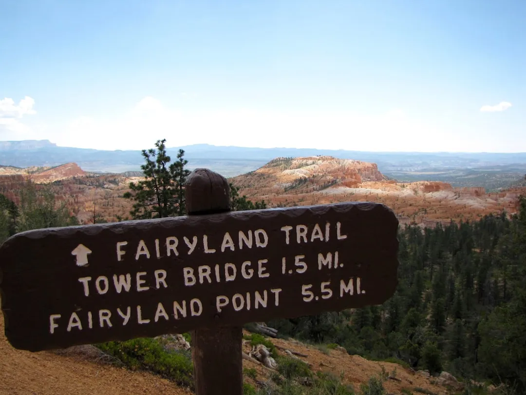 Read the Trail Behind You, Not Just Ahead (Image Credits: Unsplash)