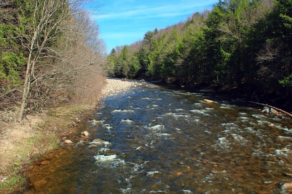 7. Loyalsock State Forest, Pennsylvania (Nicholas_T, Flickr, CC BY 2.0)