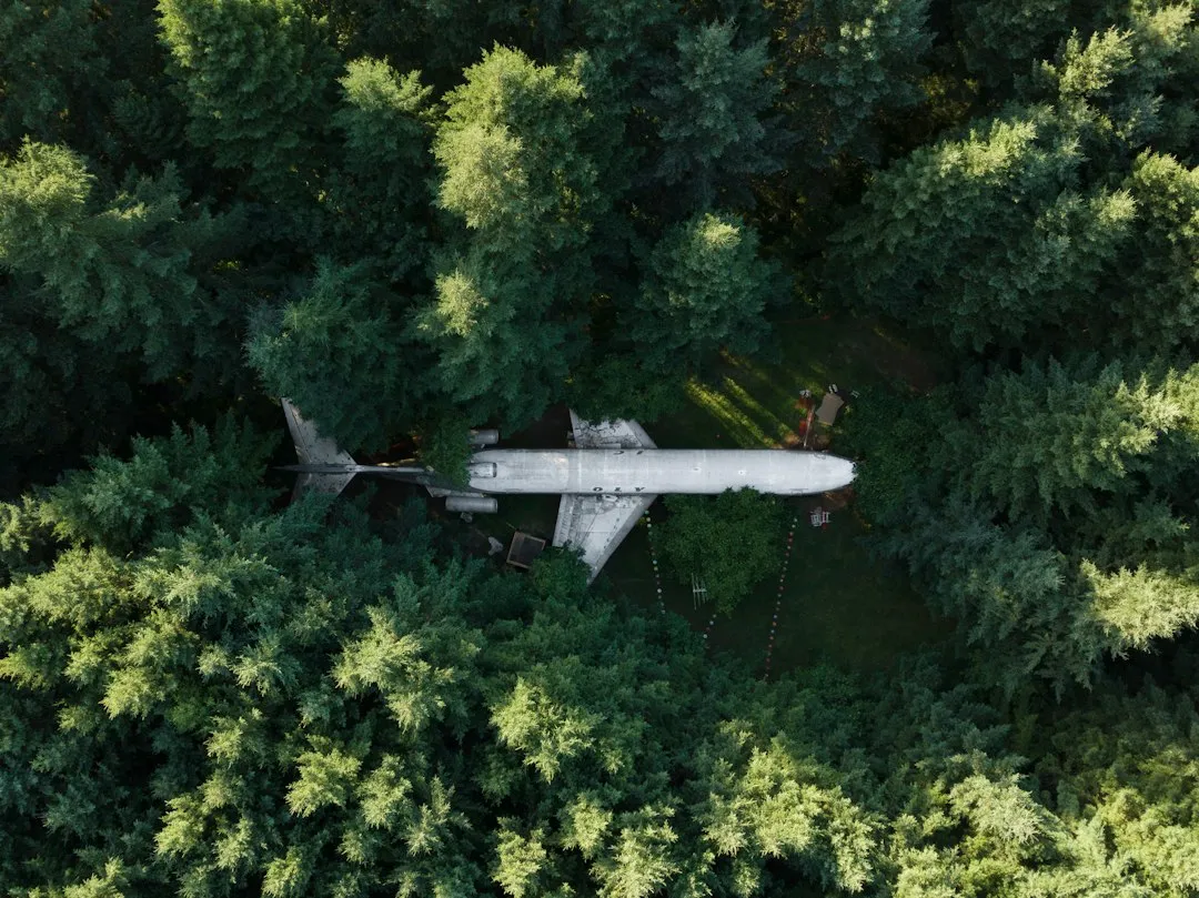 The Tragedy That Changed Aviation Safety Forever (Image Credits: Unsplash)