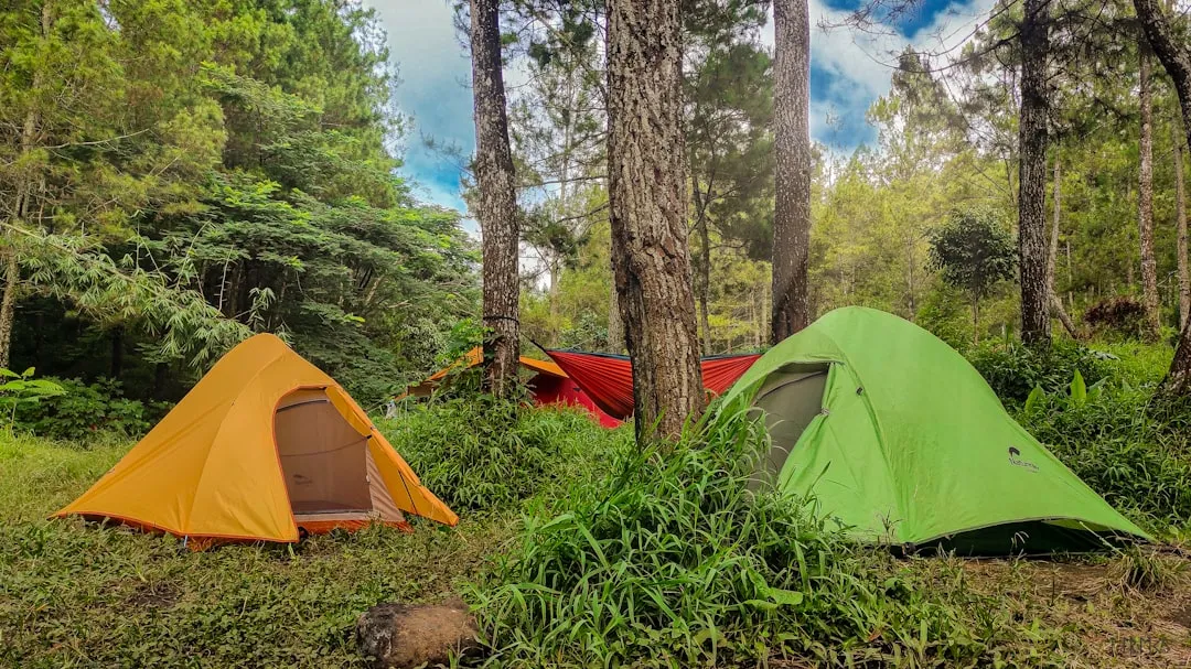 Outdoor Recreation Is at a Record High (Image Credits: Unsplash)