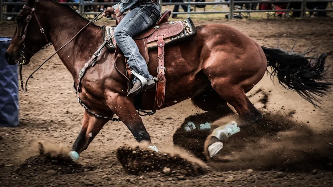 A Rodeo Town with Deep Western Roots (Image Credits: Unsplash)