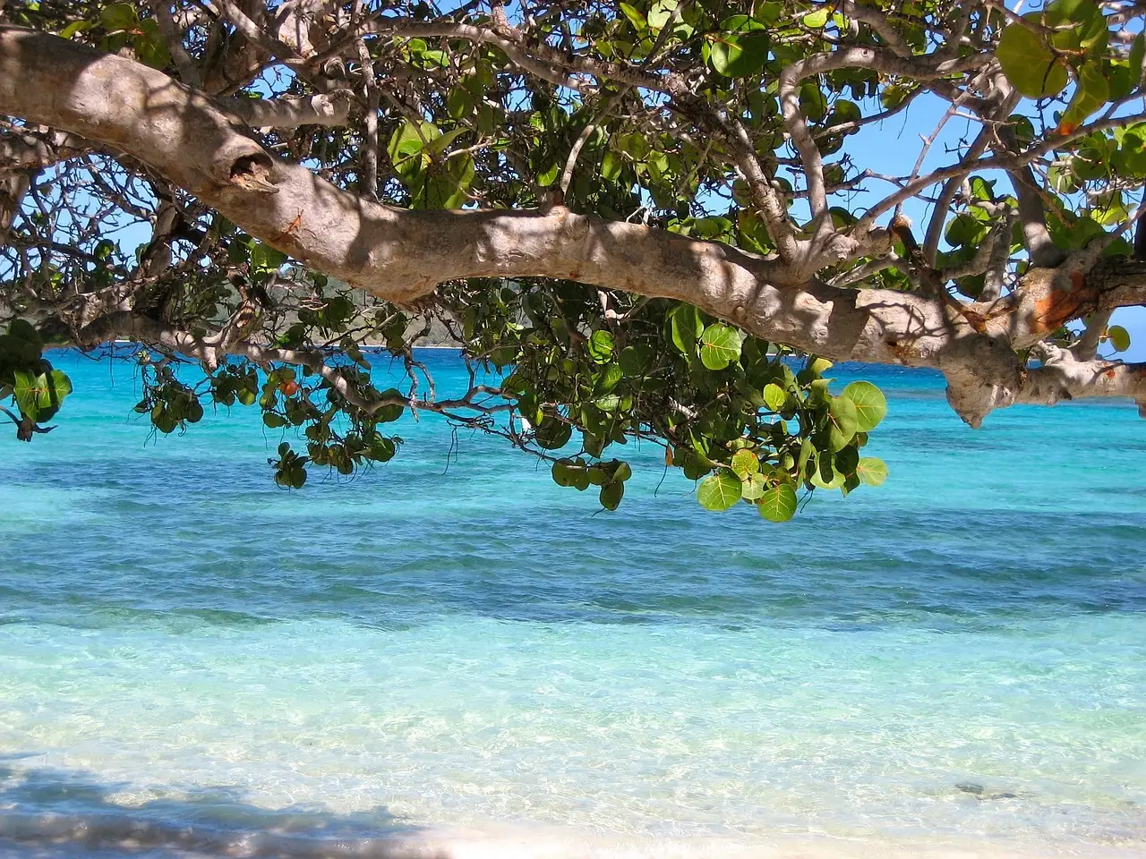 4. Sandals Royal Barbados (with Beaches Barbados Access) (Image Credits: Pixabay)