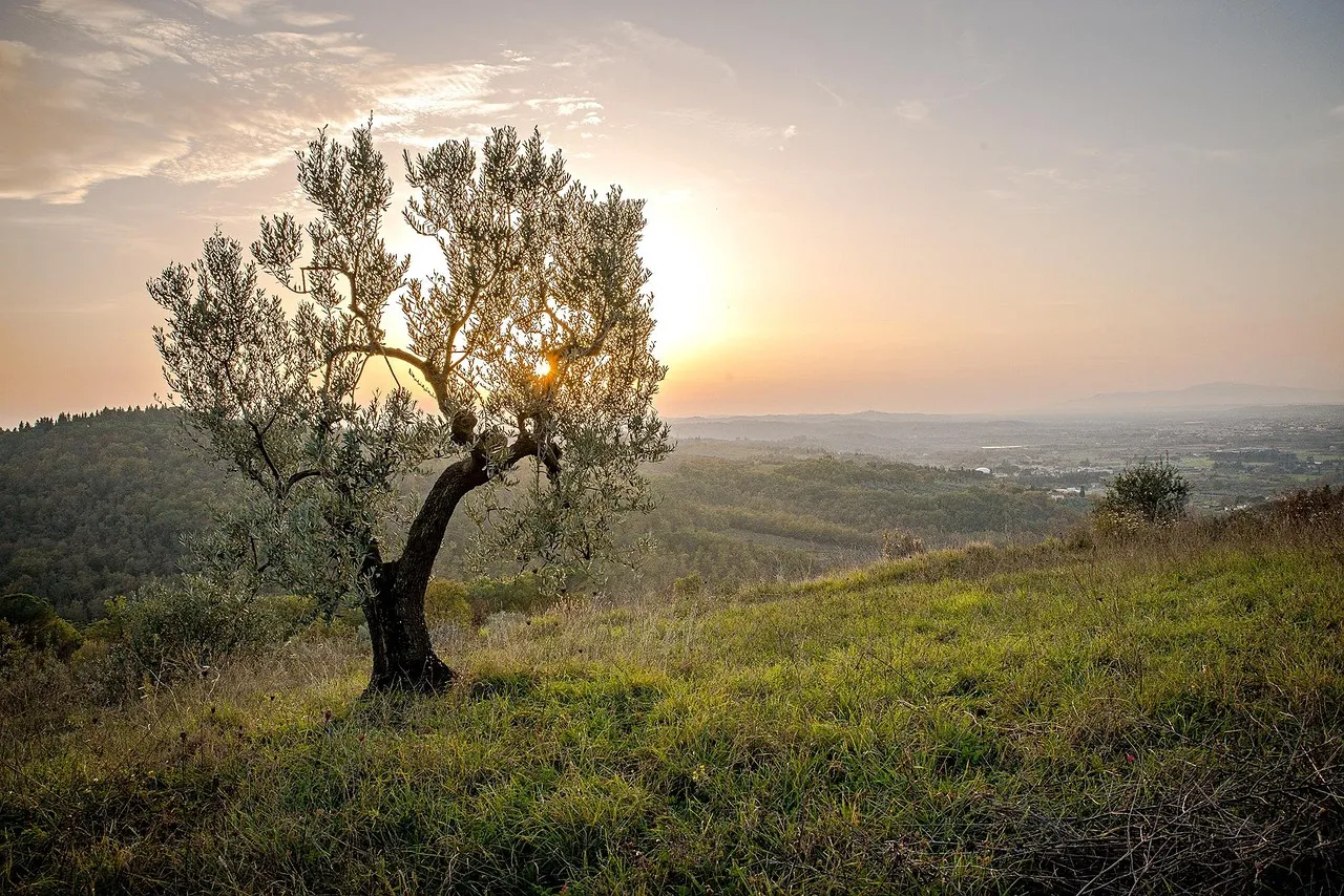 What the Momentum Tells Us About Where This Is Heading (Image Credits: Pixabay)