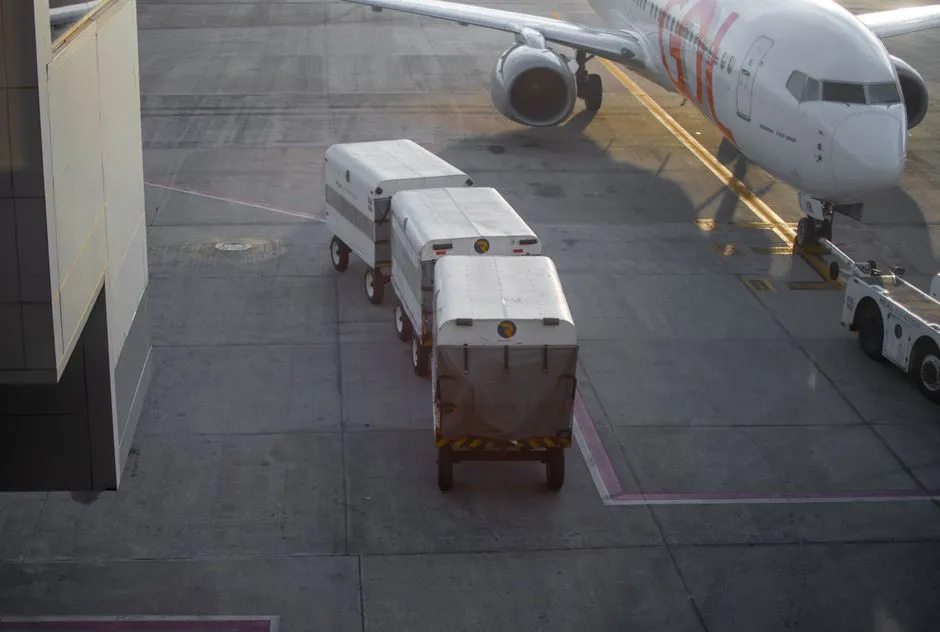 Baggage Tracking Is Now a Performance Metric (Image Credits: Pexels)