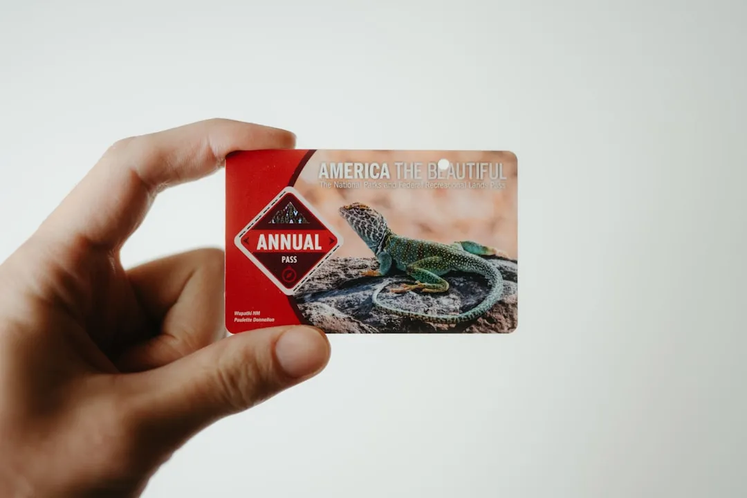 How Affordable Travel Passes Make It Even Cheaper (Image Credits: Unsplash)