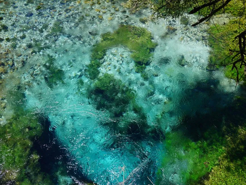 Blue Spring: A Natural Wonder Worth the Detour (Image Credits: Pexels)