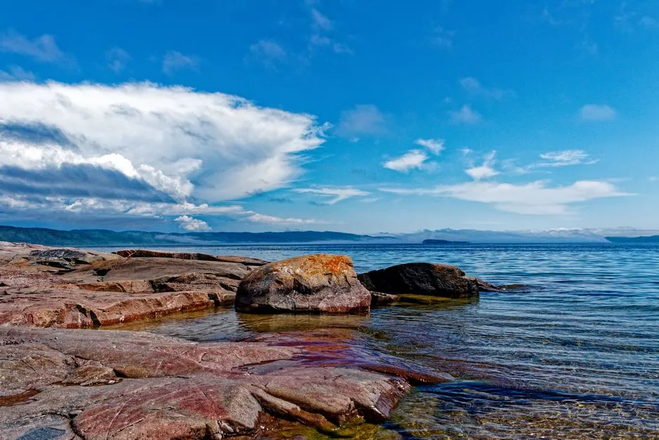Why Moosehead Stays Quiet: Conservation at Work (Image Credits: Pexels)