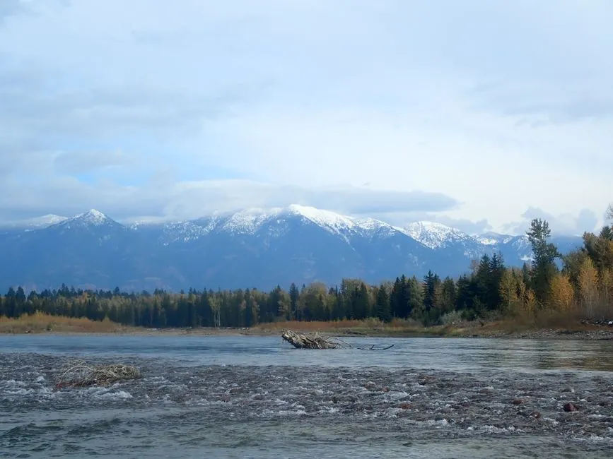 The Indigenous Roots of the Springs (Image Credits: Pexels)