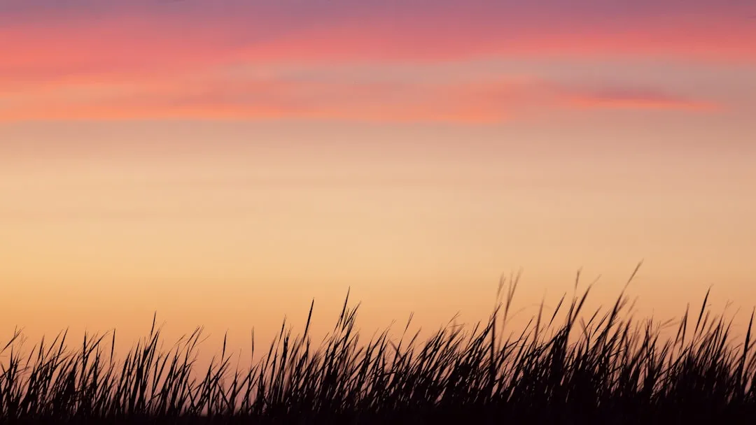 National Geographic Just Put This Region on the 2026 List (Image Credits: Unsplash)