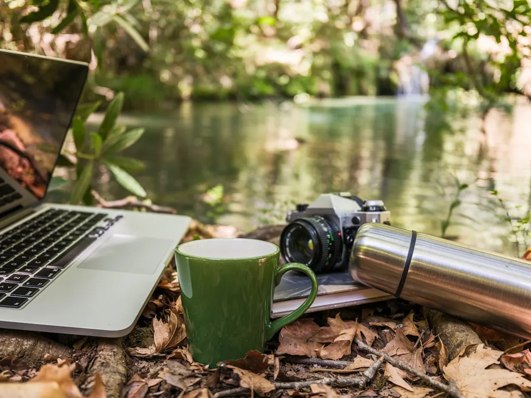 The Wellness Resort World Has Noticed (Image Credits: Unsplash)