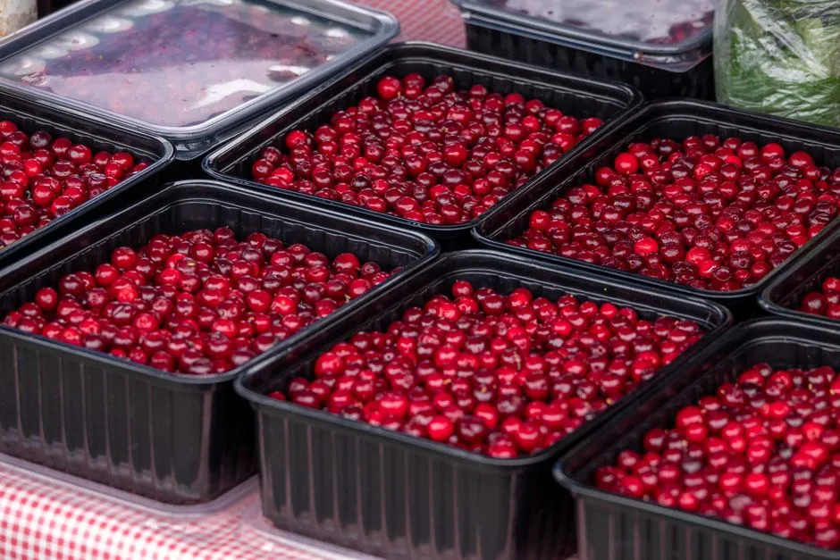 The World's Largest Cranberry Festival (Image Credits: Pexels)