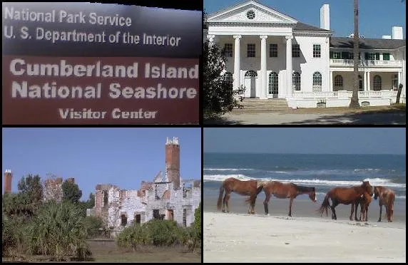 A Barrier Island Like No Other (Own work
Also a part of montage originally posted to Flickr as Horse herd at the beach
Also public domain images Dungeness ruins and Plum Orchard, CC BY-SA 3.0)