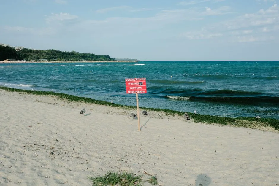 Water Signs: Cancer, Scorpio, and Pisces Near the Shore (Image Credits: Pexels)