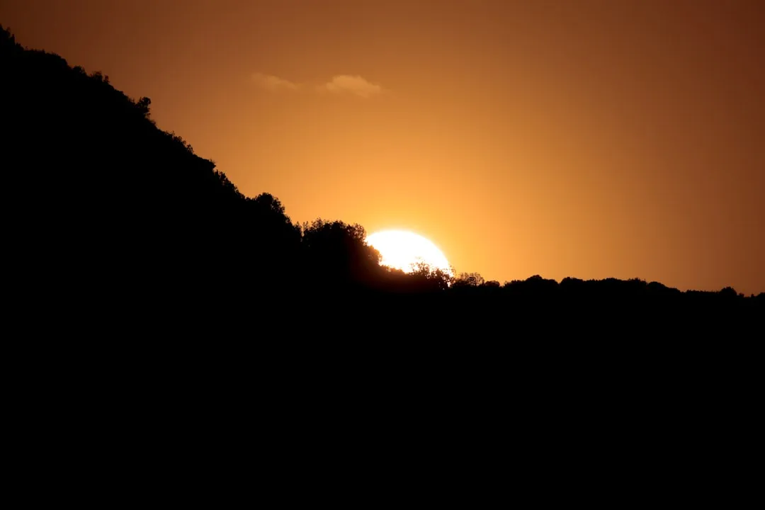 What Exactly Is Palo Duro Canyon State Park? (Image Credits: Unsplash)